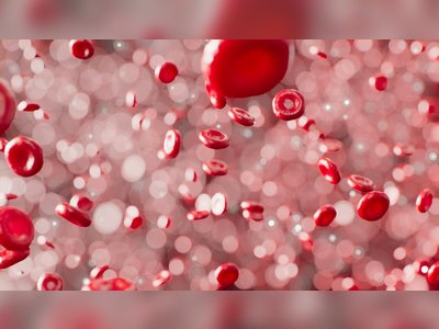 Groundbreaking Discovery: Researchers Uncover the First 'Vampire Bacteria' Feeding on Human Blood