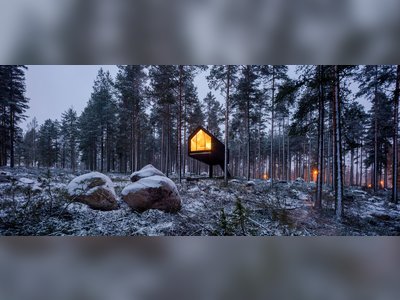 This Cozy Cabin Stands Above the Forest Floor on a Single Leg