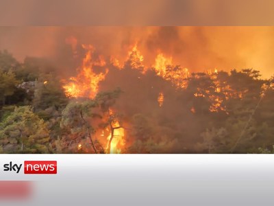Turkey's firefighters battle more forest blazes