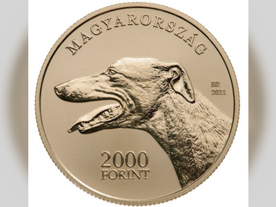 Hungarian Greyhound – Fast, Lean and Coming to Coinage