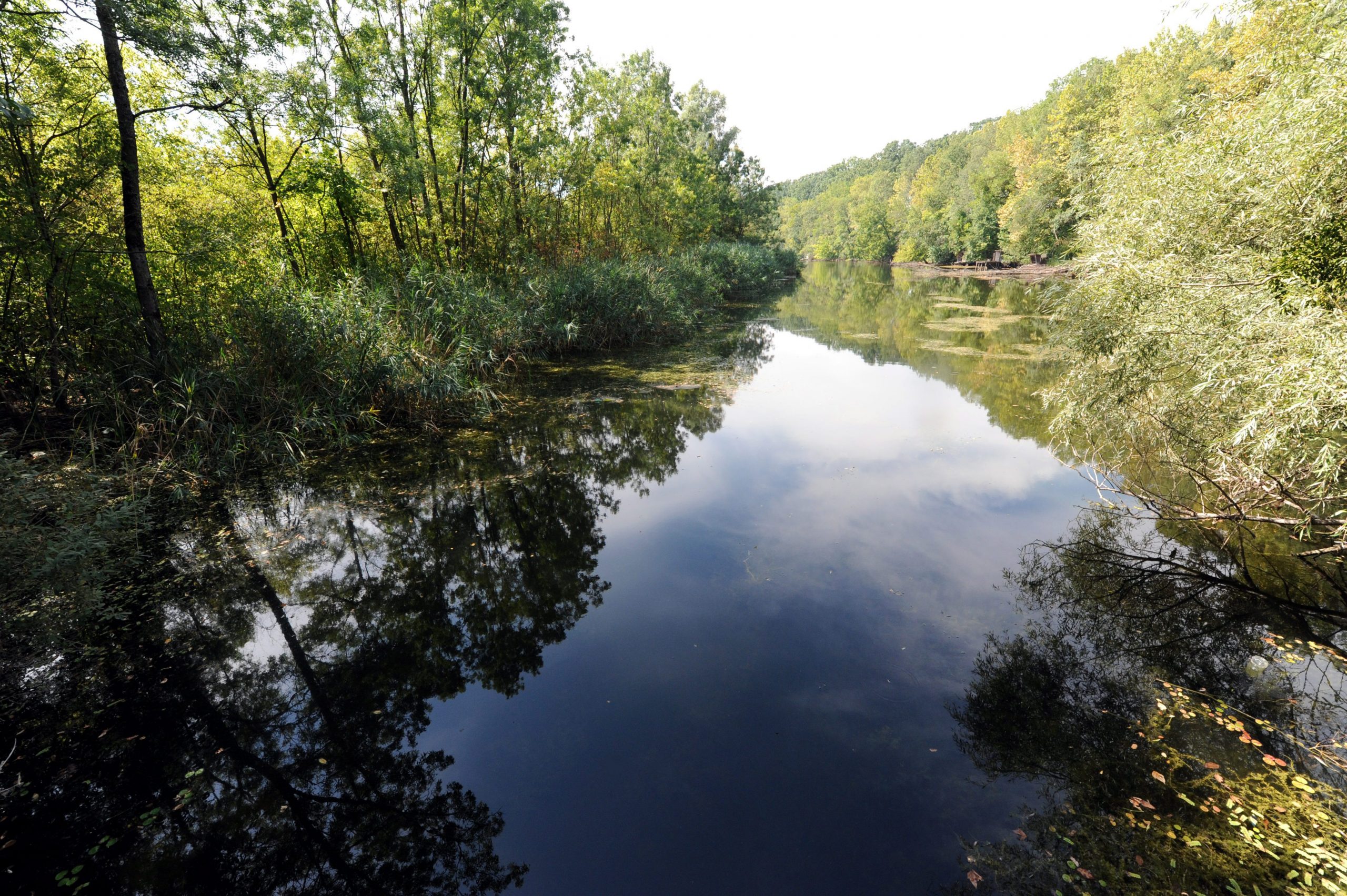 Hungary in World's First Five-Member Biosphere Reserve