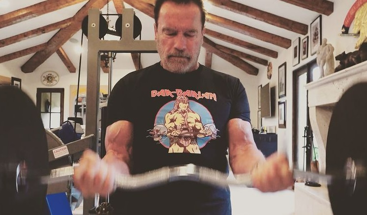 Arnold Schwarzenegger Secretly in Budapest, Works Out with Young Fan