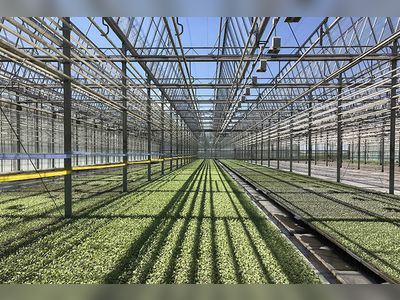 Hungary market report: Horticulture, covered production and geothermal energy