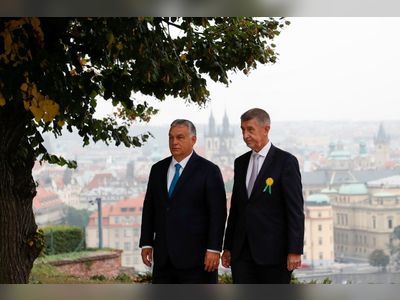 Hungary's Orban hits Czech campaign trail to back PM Babis