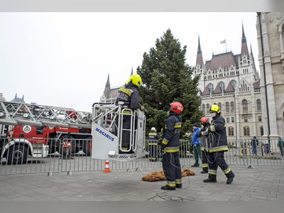 Hungary's Christmas Tree Placed in Front of Parliament