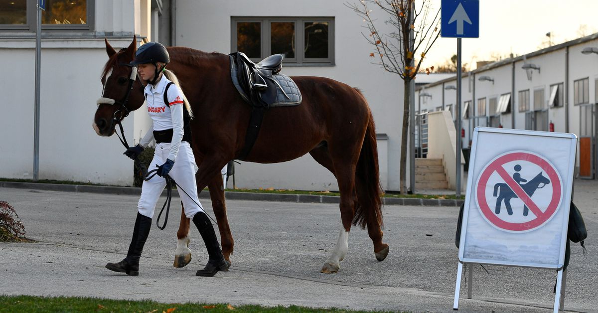 Hungarian modern pentathletes protest horse riding being axed from sport