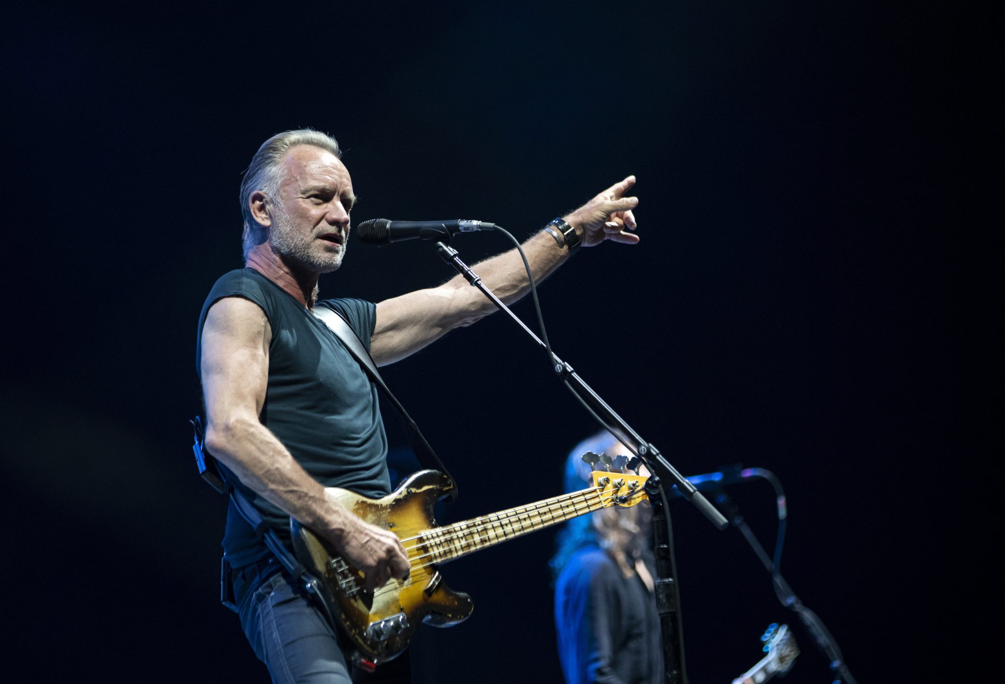 Sting to Give Two Concerts in Hungary Next Year