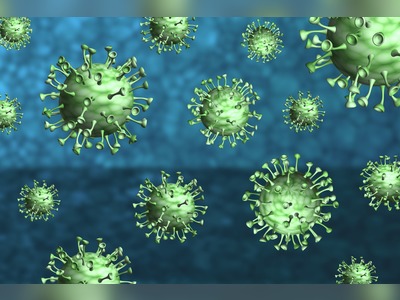 Coronavirus - 224 deaths, 4,311 new infections