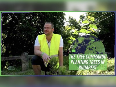The Hungarian 'tree commando' helping create a greener Budapest