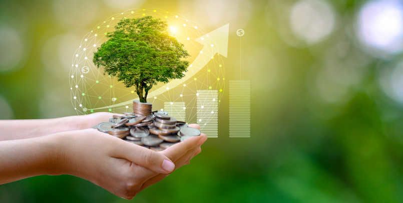 Gov't launches tender for HUF 10 bln in green economy grants