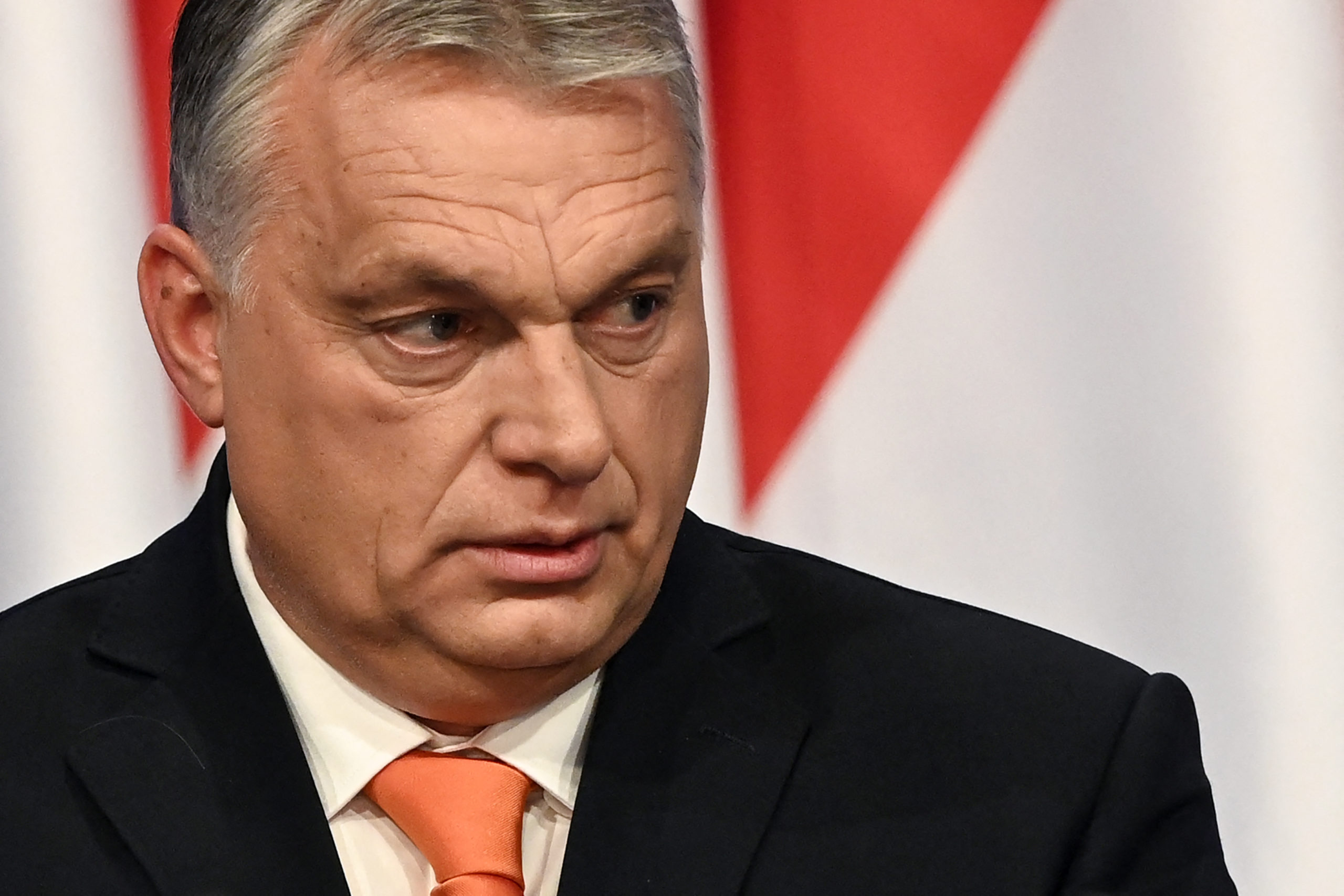 How I Got Stung by Viktor Orbán