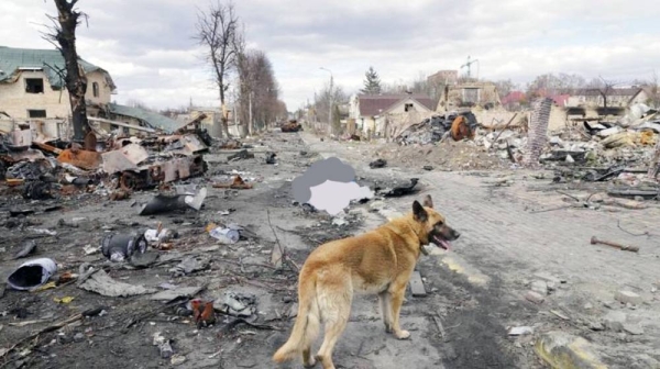 Kiev fears a civilian massacre at Borodyanka worse than Bucha