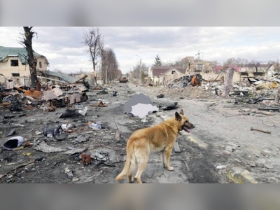 Kiev fears a civilian massacre at Borodyanka worse than Bucha