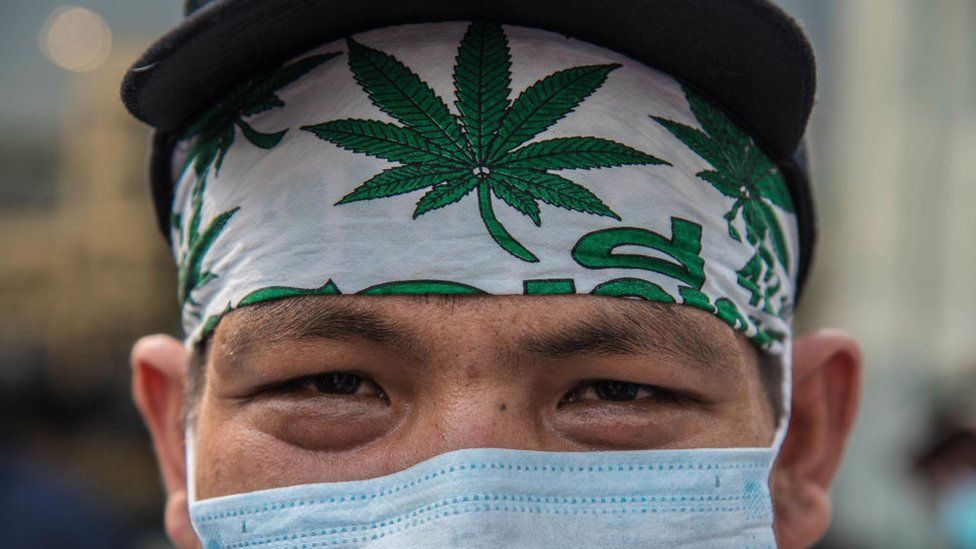Thailand legalises cannabis trade but still bans recreational use