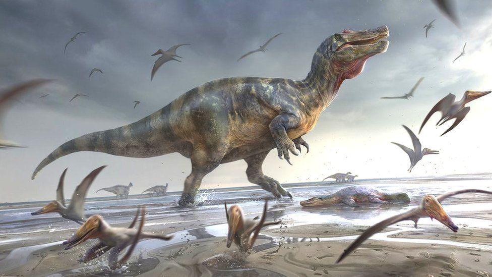 Europe's 'largest ever' land dinosaur found on Isle of Wight
