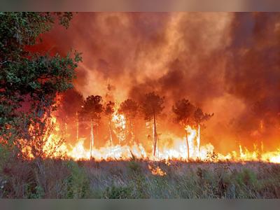 Wildfire rages in Bordeaux; fire pilot killed in Portugal