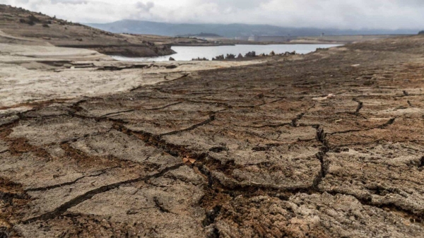 Portugal faces worst drought on record