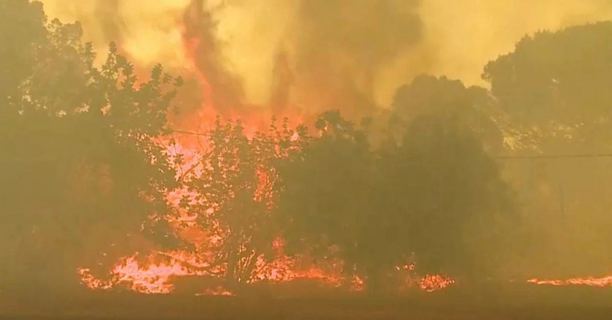 Waterbomber pilot dies fighting Portugal wildfire
