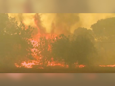 Waterbomber pilot dies fighting Portugal wildfire