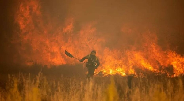 EU braces for intense wildfires as drought could become 'worst ever'