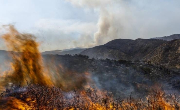 Winds drive major wildfire in Spain; Portugal goes on alert