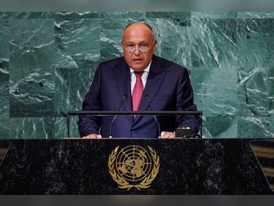 Urgent reform of UN needed, says Egypt’s FM Shoukry