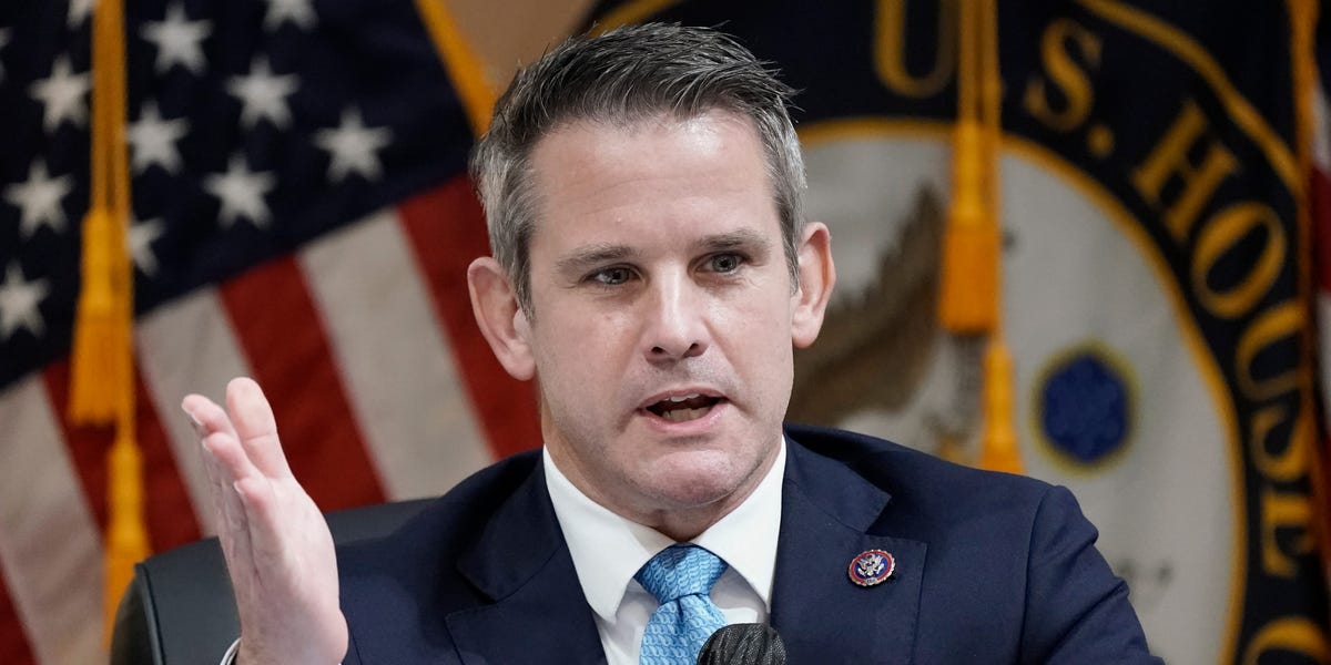GOP Rep. Adam Kinzinger says House Republicans will have a 'totally nonfunctional majority' in 2023 and McCarthy as speaker will be 'the equivalent of the dog who caught the car'