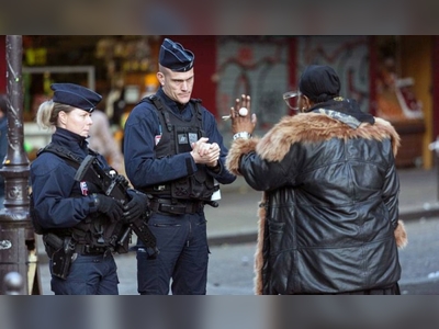 Crime in Paris falls but still not a ‘positive situation’, say police