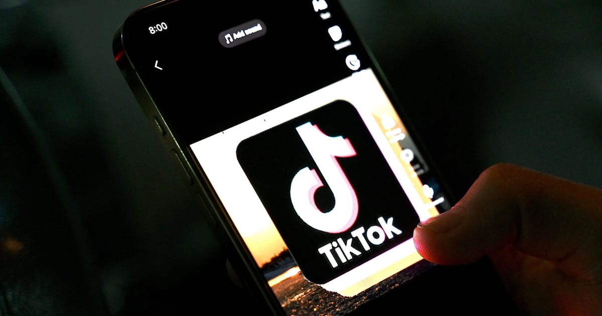 Don’t use TikTok, Dutch officials are told