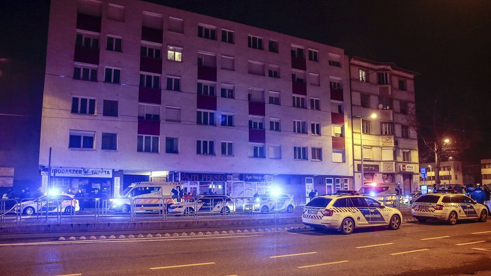 Man kills one police officer, wounds two others in Budapest stabbing