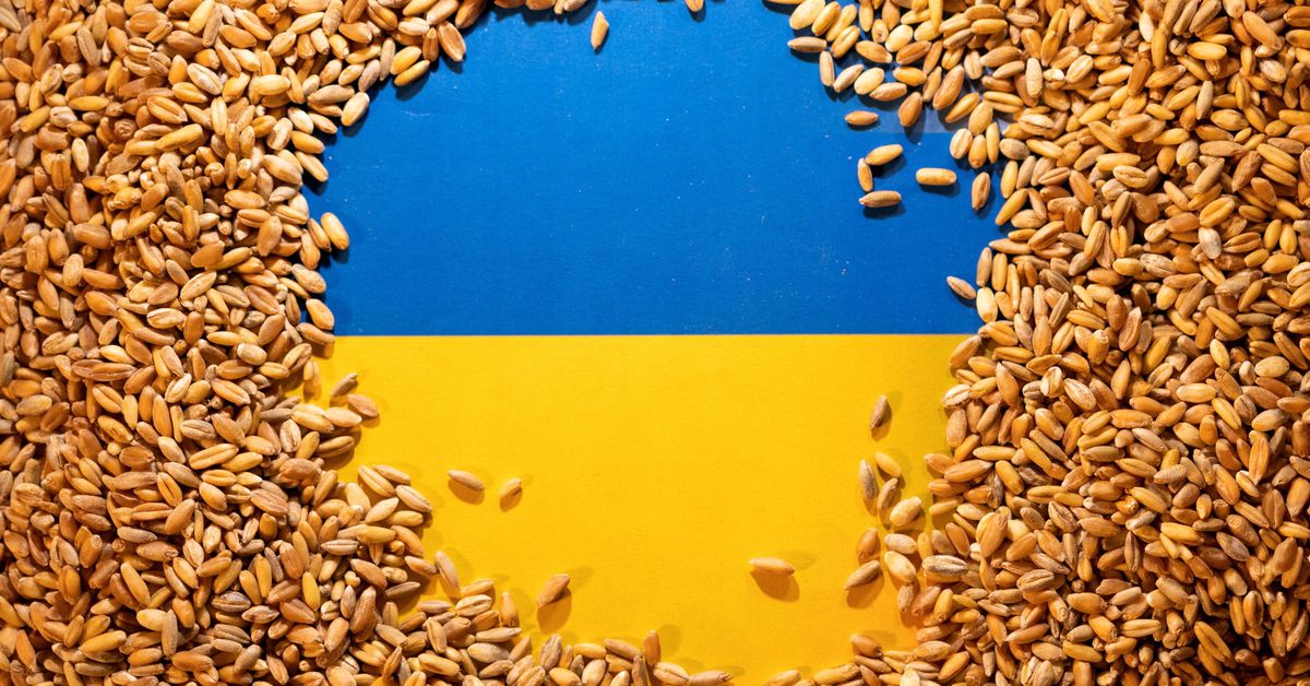 Deal reached in principle to resume Ukraine grain transit with 5 EU countries