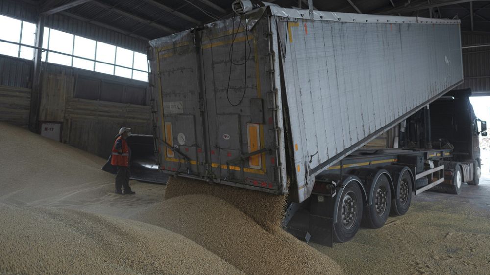 EU announces a grain deal to protect Ukraine exports and EU farmers