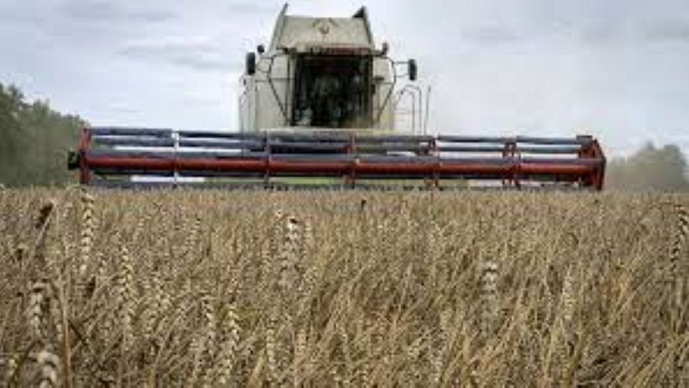 Romania and Poland lift ban on Ukrainian grain until EU decision