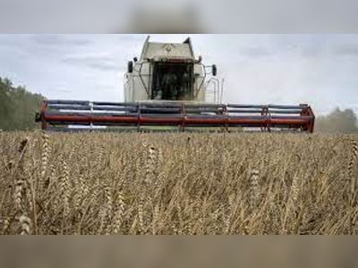 Romania and Poland lift ban on Ukrainian grain until EU decision