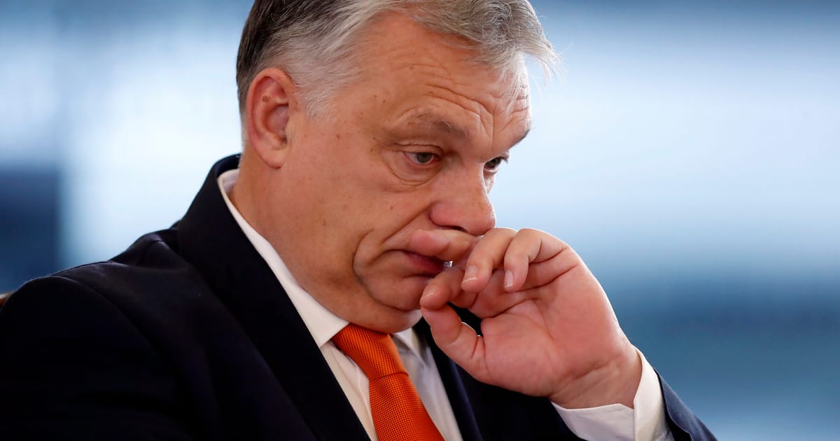 Germany has expressed doubts about Hungary's ability to lead the EU's Council presidency in 2024 due to alleged rule-of-law violations and wavering stance on Ukraine
