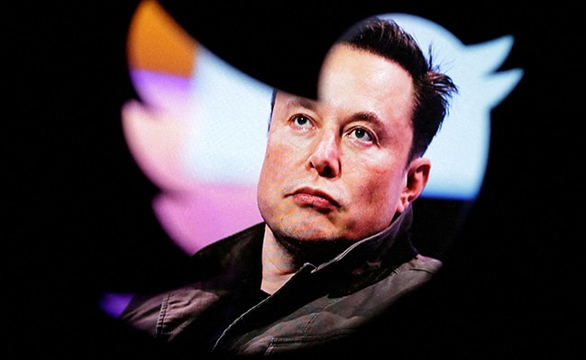 Elon Musk Announces New Feature For Twitter Blue Users, Internet Says It's "New Netflix"