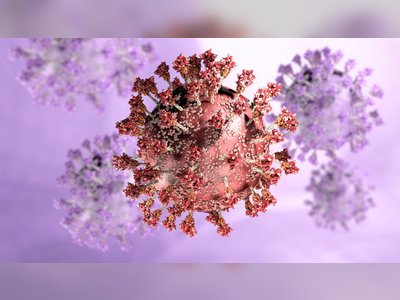 ELTE Researchers Analyze the Risks of Dual Infections with Different Coronavirus Variants