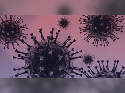 ELTE Researchers Analyze the Risks of Dual Infections with Different Coronavirus Variants