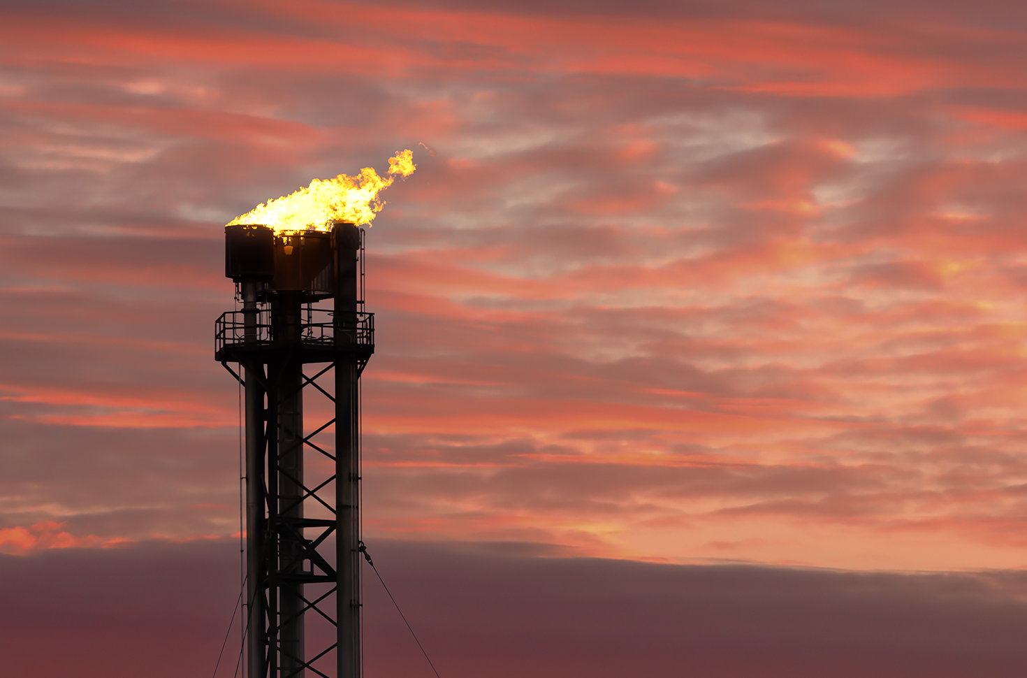 Tackling Methane Emissions is More Crucial Than Carbon Dioxide, Study Suggests