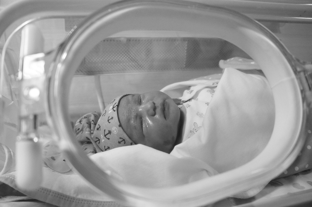 Newborn Named Zita Found in the Baby Rescue Incubator at Kiskunhalas Hospital