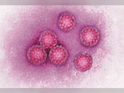 New Alarming Effect of One of the Most Feared Viruses Uncovered