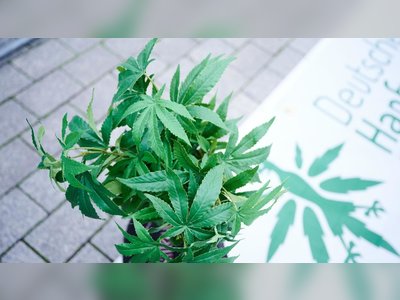 Germany Legalizes Marijuana